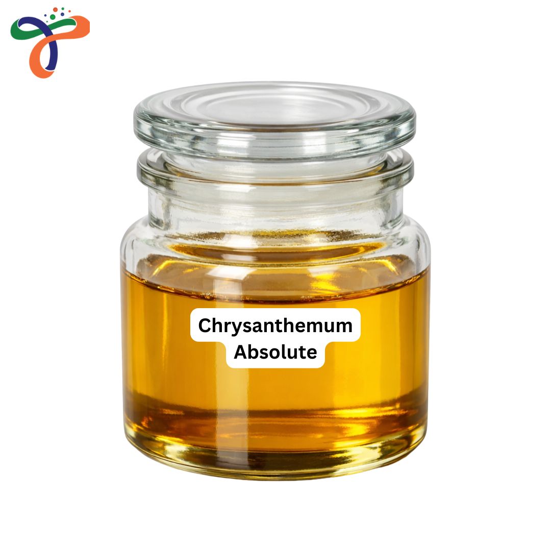Chrysanthemum Absolute
